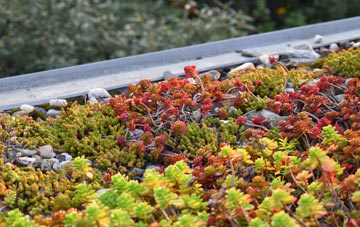 the cost of Barwell green roof installation