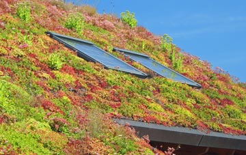 Barwell living roof systems