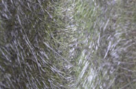 Barwell fibreglass roof work